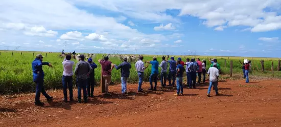 GENÉTICA – Braço de ATER do Estado do Tocantins e ABCZ promovem capacitação em bovinocultura de corte